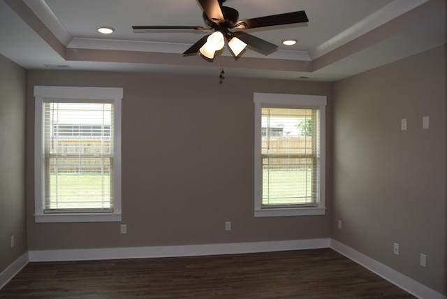 81 Morning Mist Dr, Rossville, GA 30741 - unfurnished room featuring a raised ceiling, plenty of natural light, dark wood-type flooring, and recessed lighting