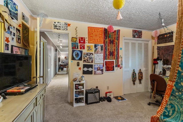 144 Bible Dr, Benton, TN 37307 - carpeted office with a textured ceiling and ornamental molding