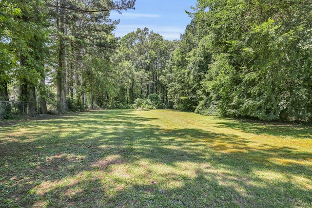 353 Prater Rd, Rossville, GA 30741 - view of yard featuring a view of trees