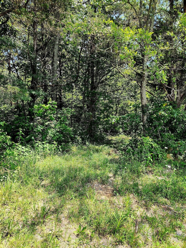 0 Valley Rd Uppr E, Uppr East, Pikeville, TN 37367