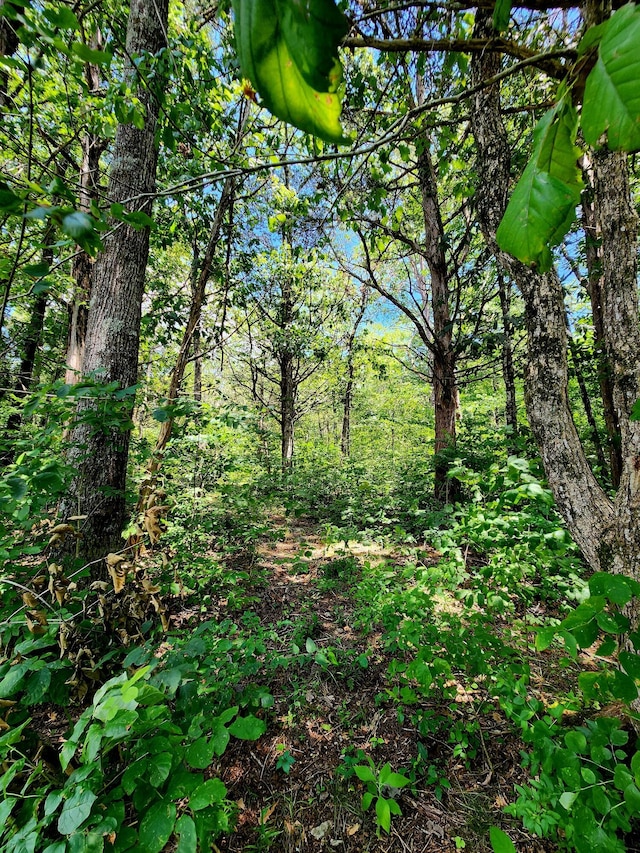 0 Valley Rd Uppr E, Uppr East, Pikeville, TN 37367