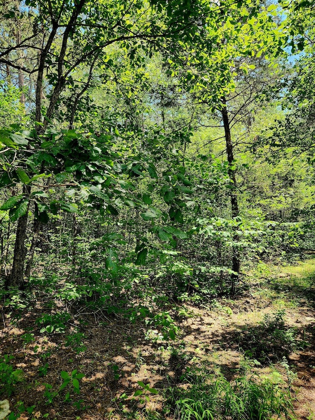 0 Valley Rd Uppr E, Uppr East, Pikeville, TN 37367