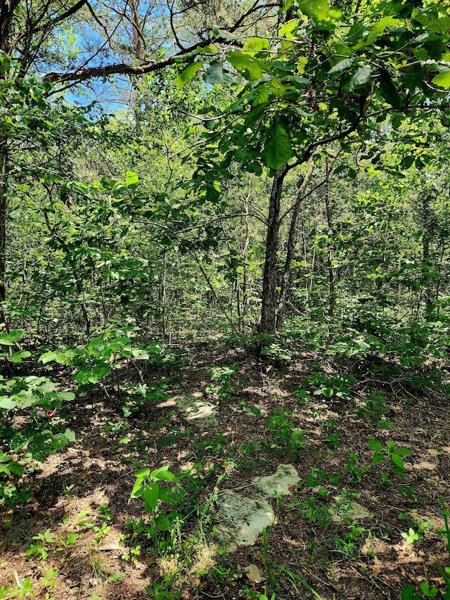 0 Valley Rd Uppr E, Uppr East, Pikeville, TN 37367