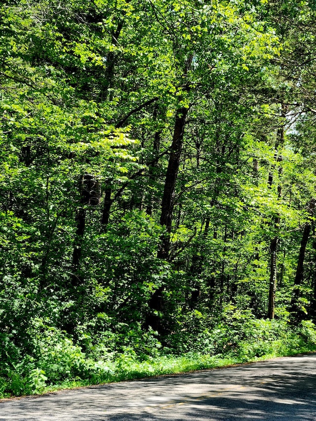 0 Valley Rd Uppr E, Uppr East, Pikeville, TN 37367