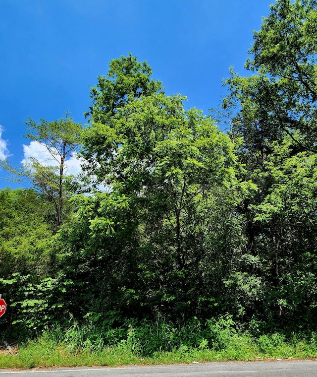 0 Valley Rd Uppr E, Uppr East, Pikeville, TN 37367