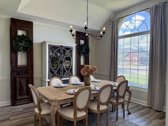 120 Oakhurst Ter NE, Calhoun, GA 30701 - dining space featuring a chandelier, wood finished floors, and lofted ceiling