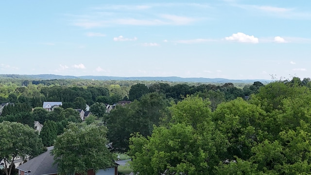 120 Oakhurst Ter NE, Calhoun, GA 30701 - view of mountain background featuring a forest