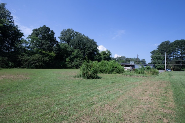 272 Walker Rd, Rossville, GA 30741 - view of grassy yard
