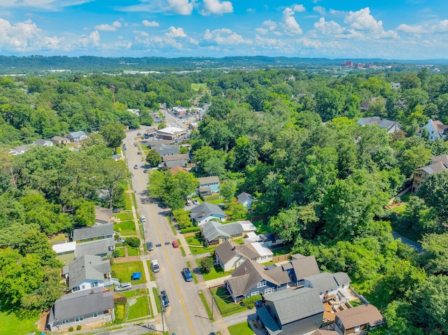 1132 Dartmouth St, Chattanooga, TN 37405 - aerial perspective of suburban area with a forest
