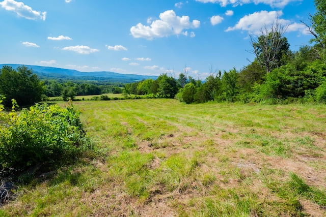 1740 L Swafford Rd, Pikeville, TN 37367