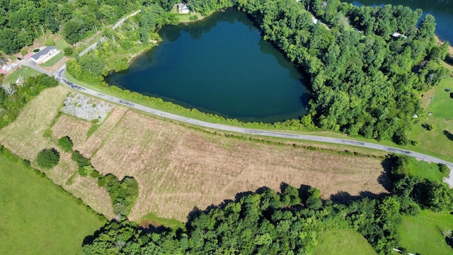 1740 L Swafford Rd, Pikeville, TN 37367