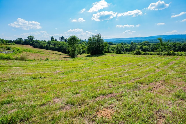 1740 L Swafford Rd, Pikeville, TN 37367