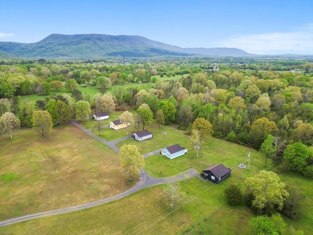 158 Rocken B Dr, Delano, TN 37325 - photo 4
