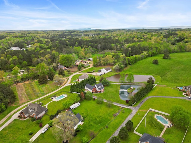 1502 Brock Cir, Ringgold, GA 30736 - aerial view of a forest and a large body of water
