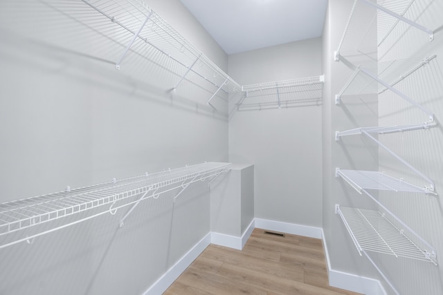 307 Cavender St, Lafayette, GA 30728 - spacious closet featuring light wood finished floors