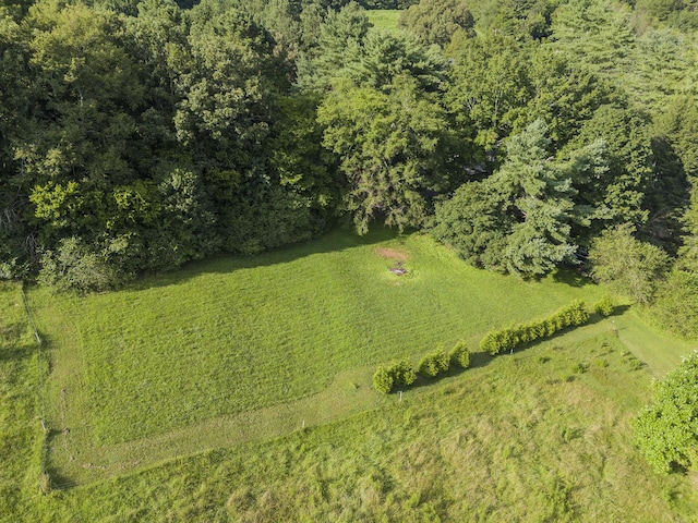 218 Hooper Rd, Ringgold, GA 30736 - photo 45