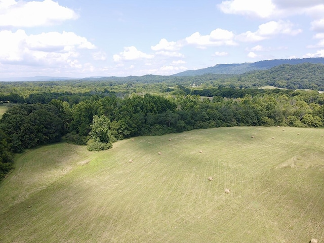 0 County Road 494, Bryant, AL 35958 - photo 6