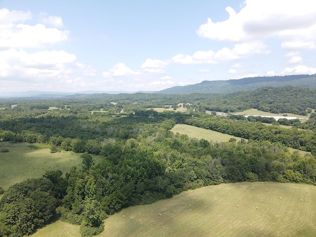 0 County Road 494, Bryant, AL 35958 - photo 8