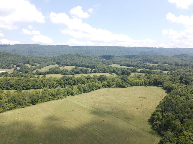 0 County Road 494, Bryant, AL 35958 - photo 9