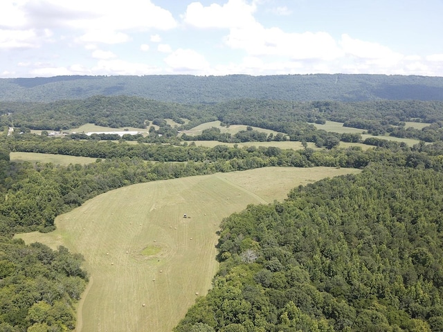 0 County Road 494, Bryant, AL 35958 - photo 10