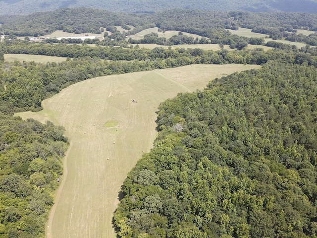 0 County Road 494, Bryant, AL 35958 - photo 11