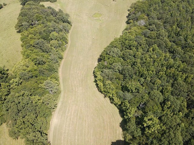 0 County Road 494, Bryant, AL 35958 - photo 12