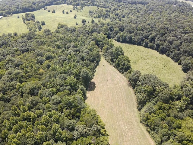 0 County Road 494, Bryant, AL 35958 - photo 13