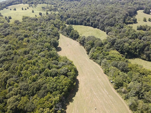 0 County Road 494, Bryant, AL 35958 - photo 14