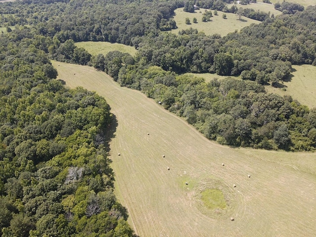0 County Road 494, Bryant, AL 35958 - photo 15