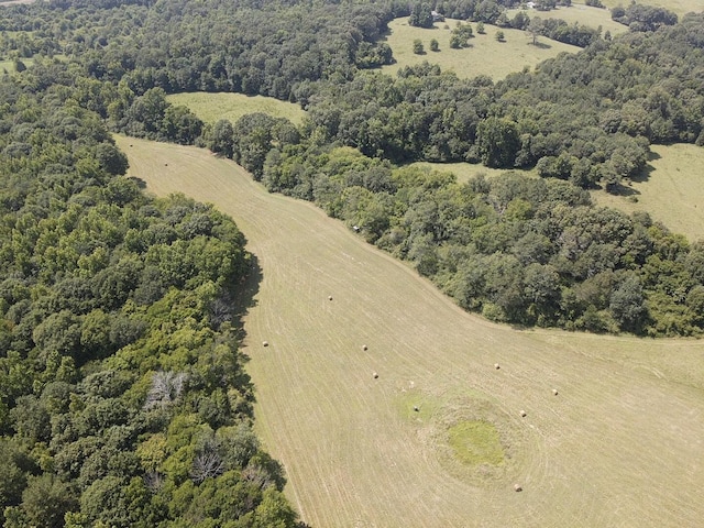 0 County Road 494, Bryant, AL 35958 - photo 16