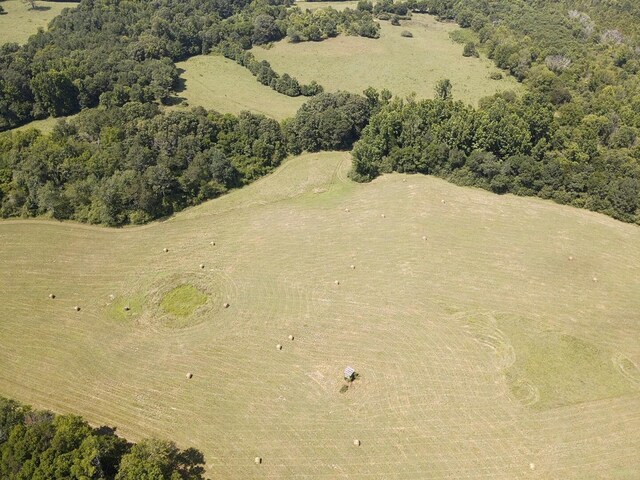 0 County Road 494, Bryant, AL 35958 - photo 18