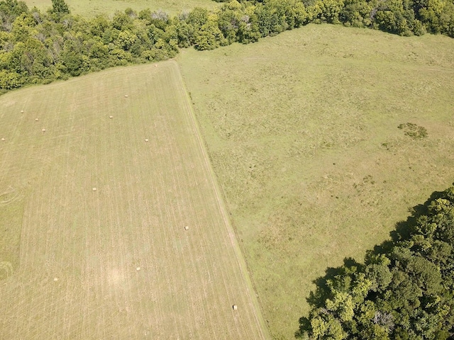 0 County Road 494, Bryant, AL 35958 - photo 20