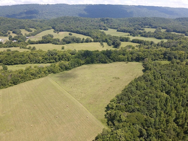 0 County Road 494, Bryant, AL 35958 - photo 21