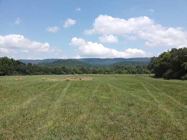 0 County Road 494, Bryant, AL 35958 - photo 22