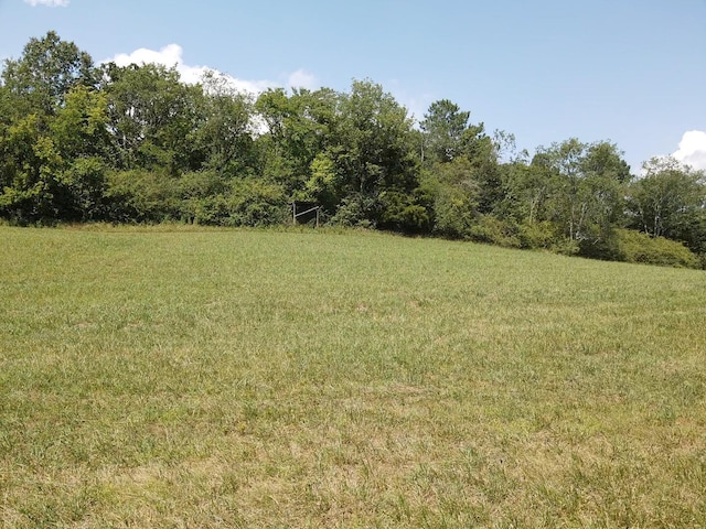 0 County Road 494, Bryant, AL 35958 - photo 25