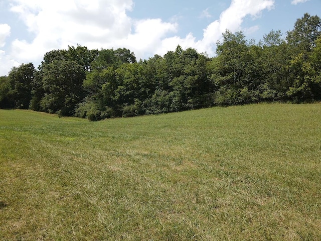 0 County Road 494, Bryant, AL 35958 - photo 26