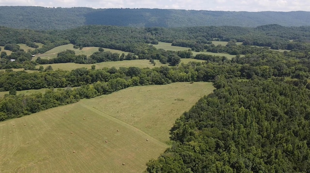 0 County Road 494, Bryant, AL 35958 - photo 28