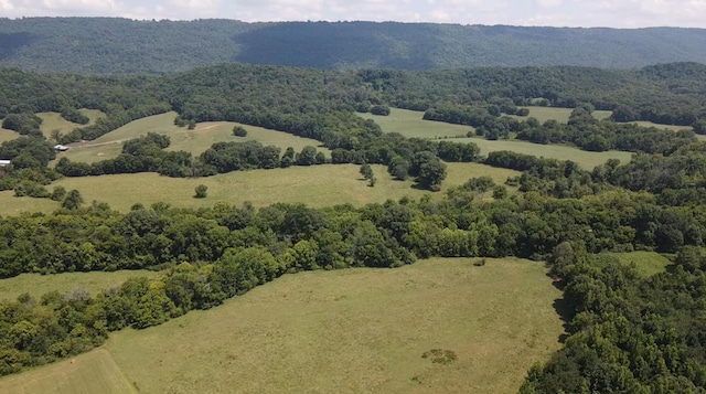 0 County Road 494, Bryant, AL 35958 - photo 29
