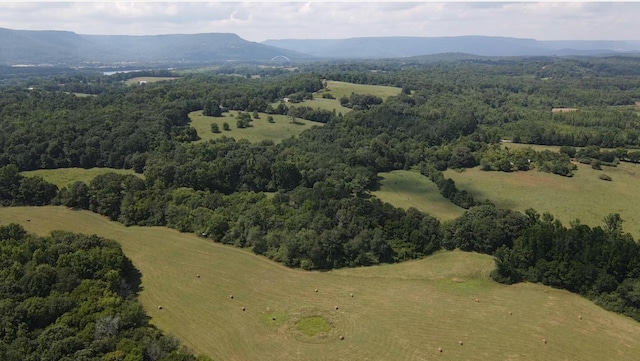 0 County Road 494, Bryant, AL 35958 - photo 30