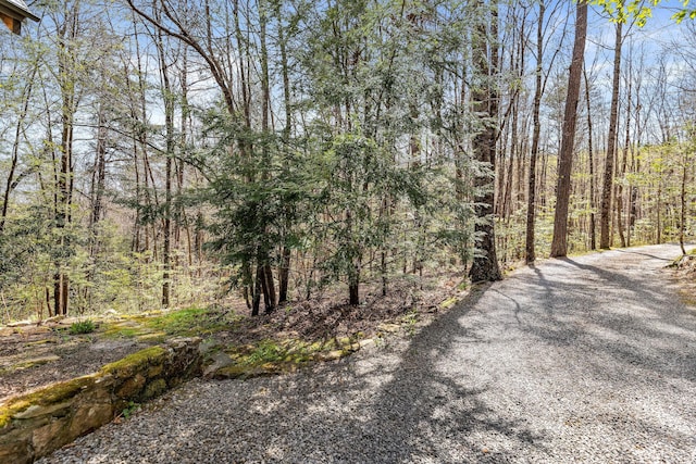 1908 Clear Brooks Dr, Signal Mountain, TN 37377 - view of street with a forest view