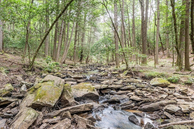 1908 Clear Brooks Dr, Signal Mountain, TN 37377 - view of woods