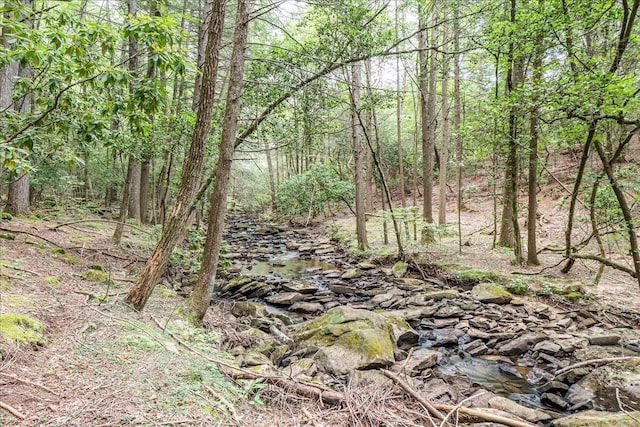 1908 Clear Brooks Dr, Signal Mountain, TN 37377 - view of woods