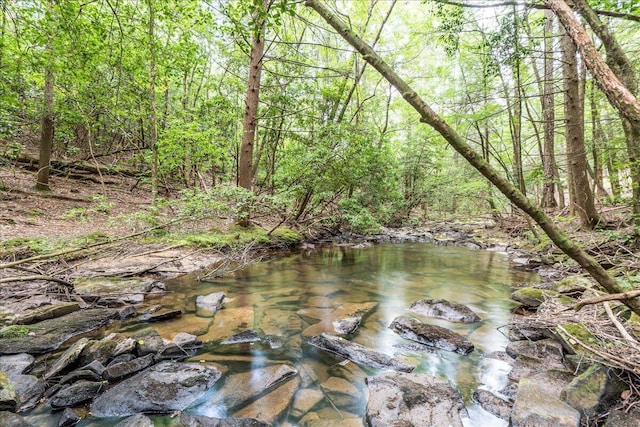 1908 Clear Brooks Dr, Signal Mountain, TN 37377 - water view with a heavily wooded area