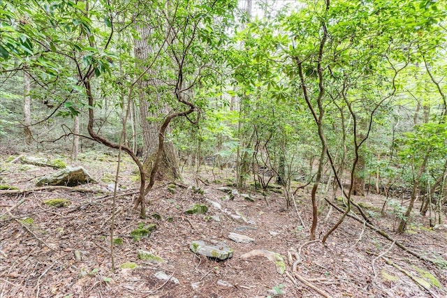 1908 Clear Brooks Dr, Signal Mountain, TN 37377 - view of woods
