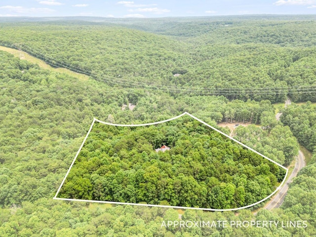 1908 Clear Brooks Dr, Signal Mountain, TN 37377 - aerial view of property's location with property boundaries highlighted