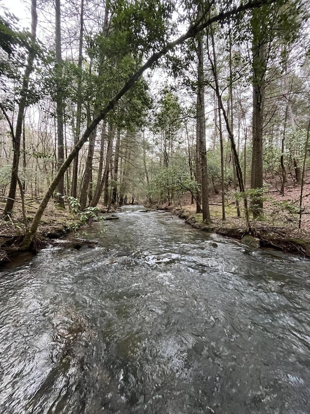 1908 Clear Brooks Dr, Signal Mountain, TN 37377 - view of undeveloped land