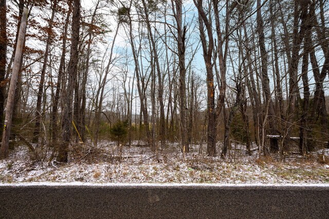 0 Blaine Smith Rd Unit 11, Graysville, TN 37338 - photo 3