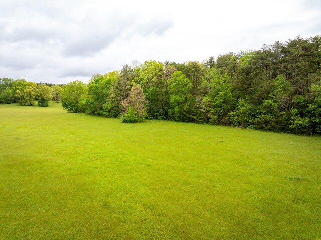 0 Blaine Smith Rd Unit 11, Graysville, TN 37338 - photo 5