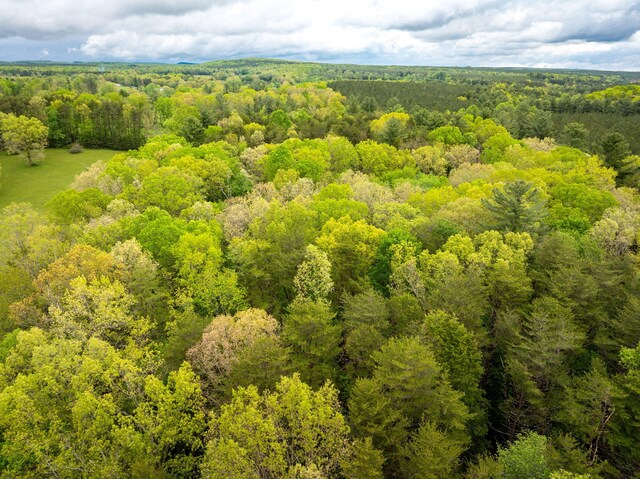 0 Blaine Smith Rd Unit 11, Graysville, TN 37338 - photo 7