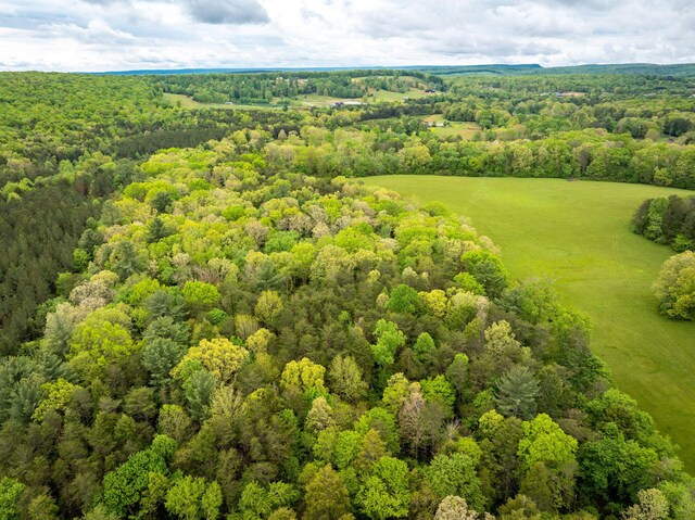 0 Blaine Smith Rd Unit 11, Graysville, TN 37338 - photo 8
